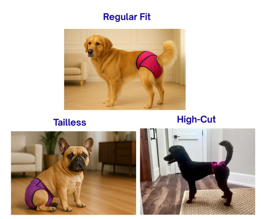 Choosing the Right Dog Diaper Britches: A Complete Guide to Our 3 Styles