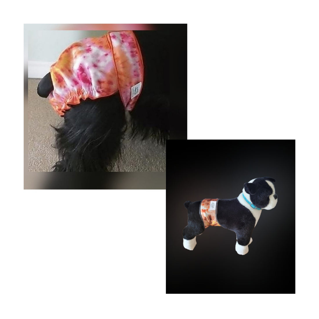 Avoid Dog Diaper & Belly Band Rash and Discomfort