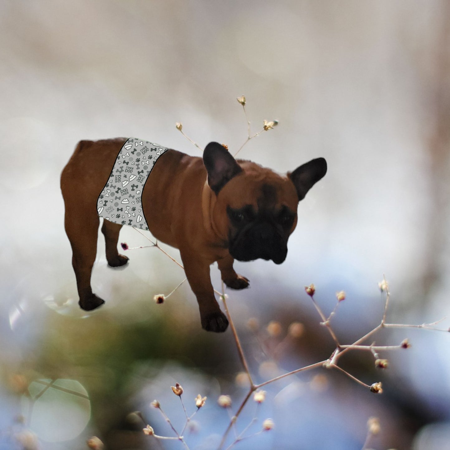 Male Dog Belly Band Wrap - Grey Bones Style #2 - Jack & Jill Dog Diapers