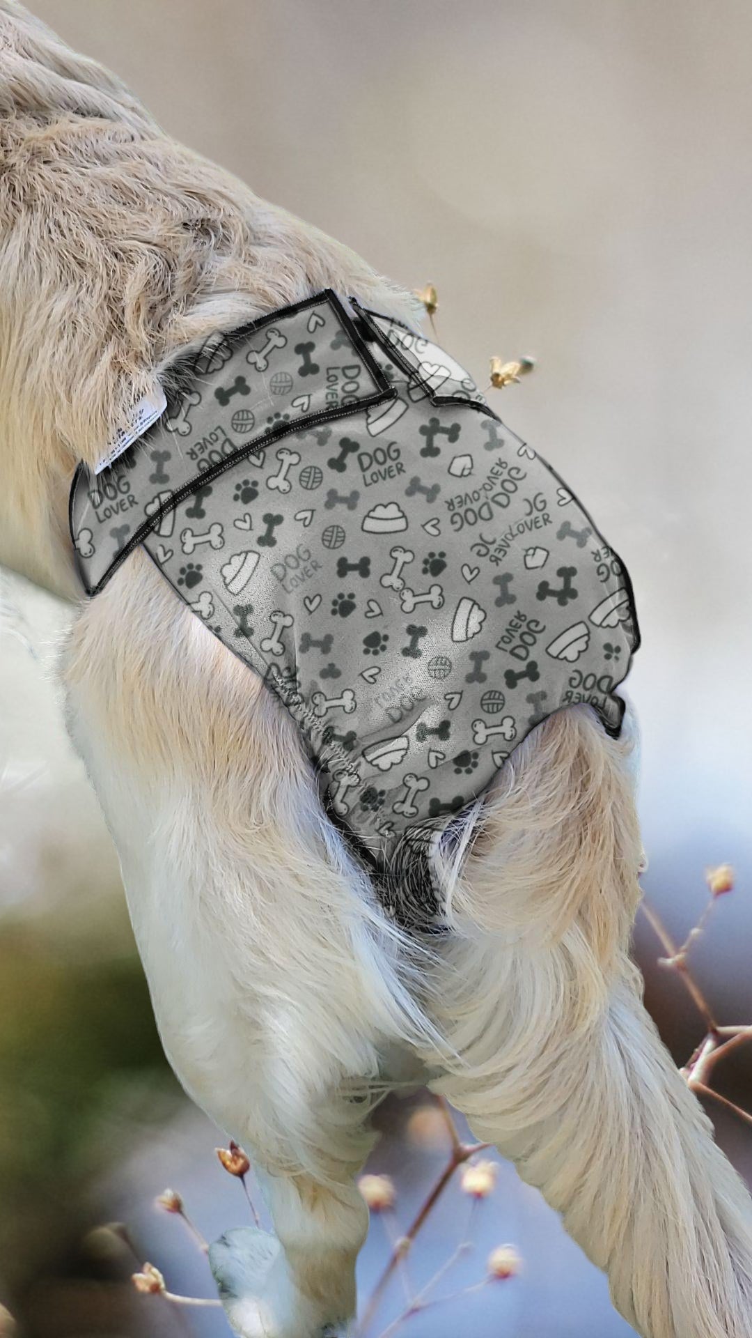 US Female Dog Diaper – Britches