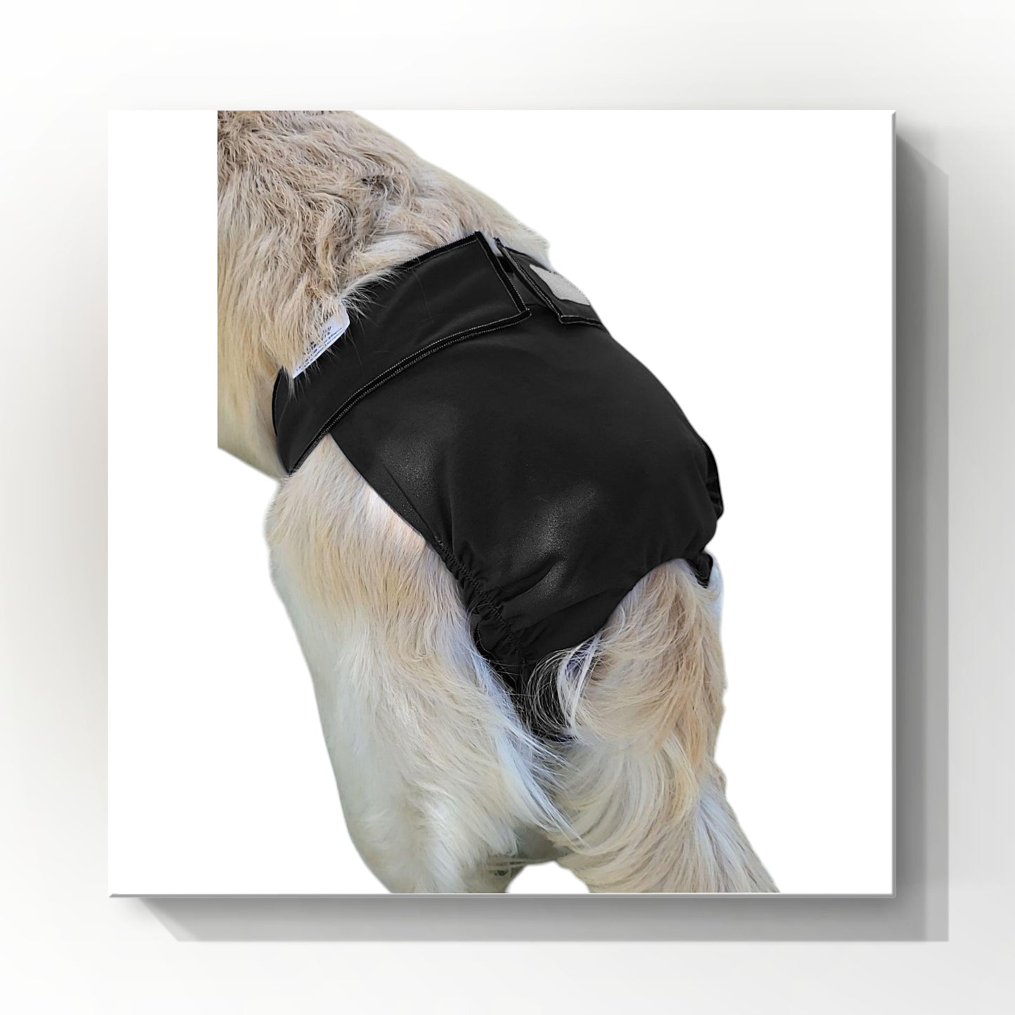 Female Dog Diaper Britches | With Tail Opening |Black Print