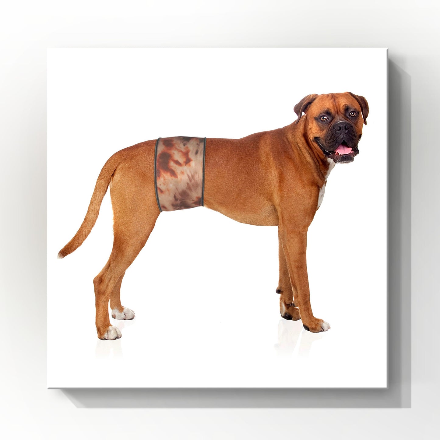Male Dog Belly Band Wrap | Brown Tie Dye Print |Style 1