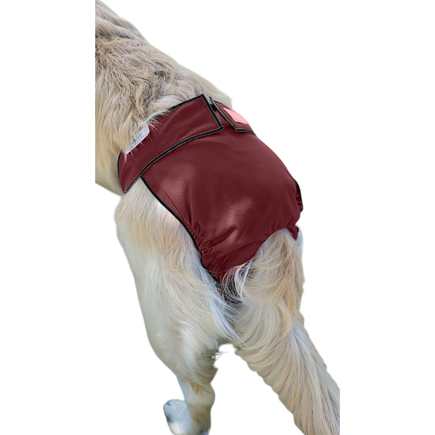 Female Dog Diaper Britches | With Tail Opening |Burgundy Print