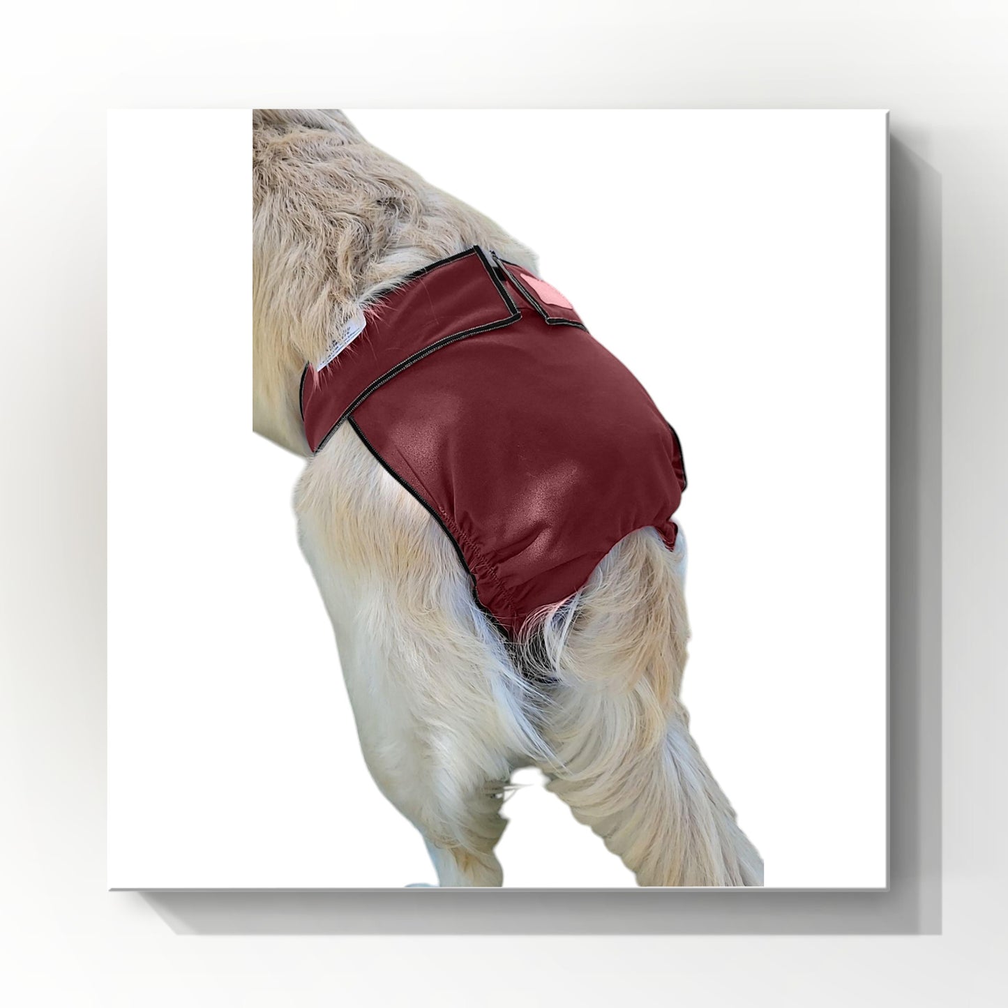 Female Dog Diaper Britches | With Tail Opening |Burgundy Print