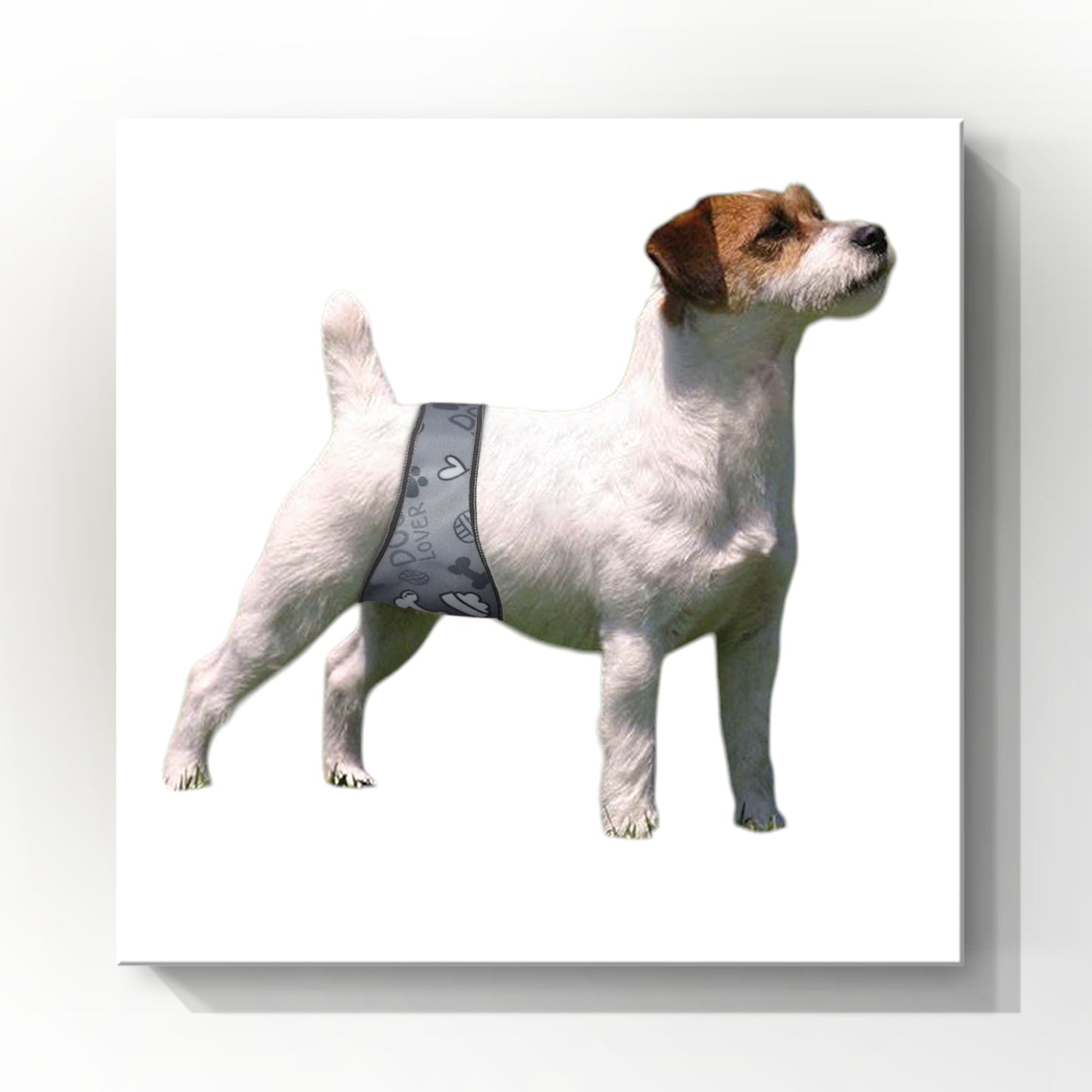 Male Dog Belly Band Wrap | Grey Bone Print| Style #2