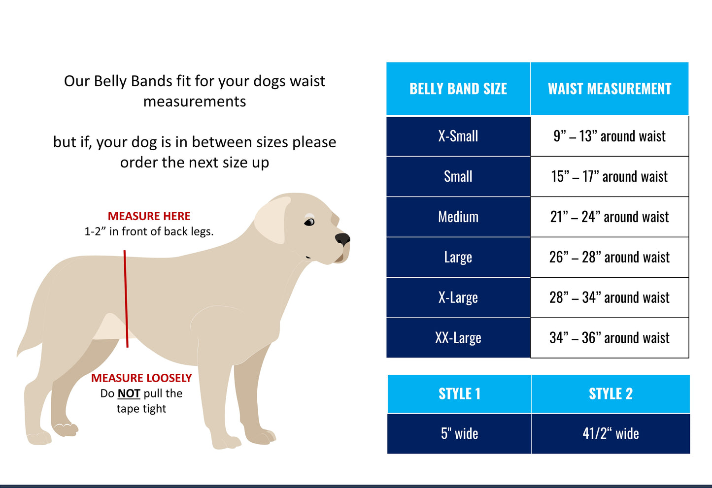B&B Male Belly Band – Black Style #2 - Jack & Jill Dog Diapers