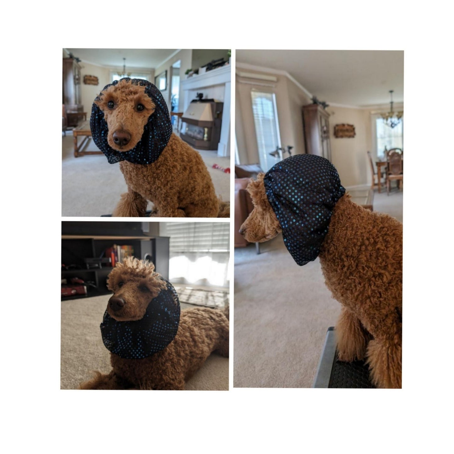 Dog Snood - Sequins Navy