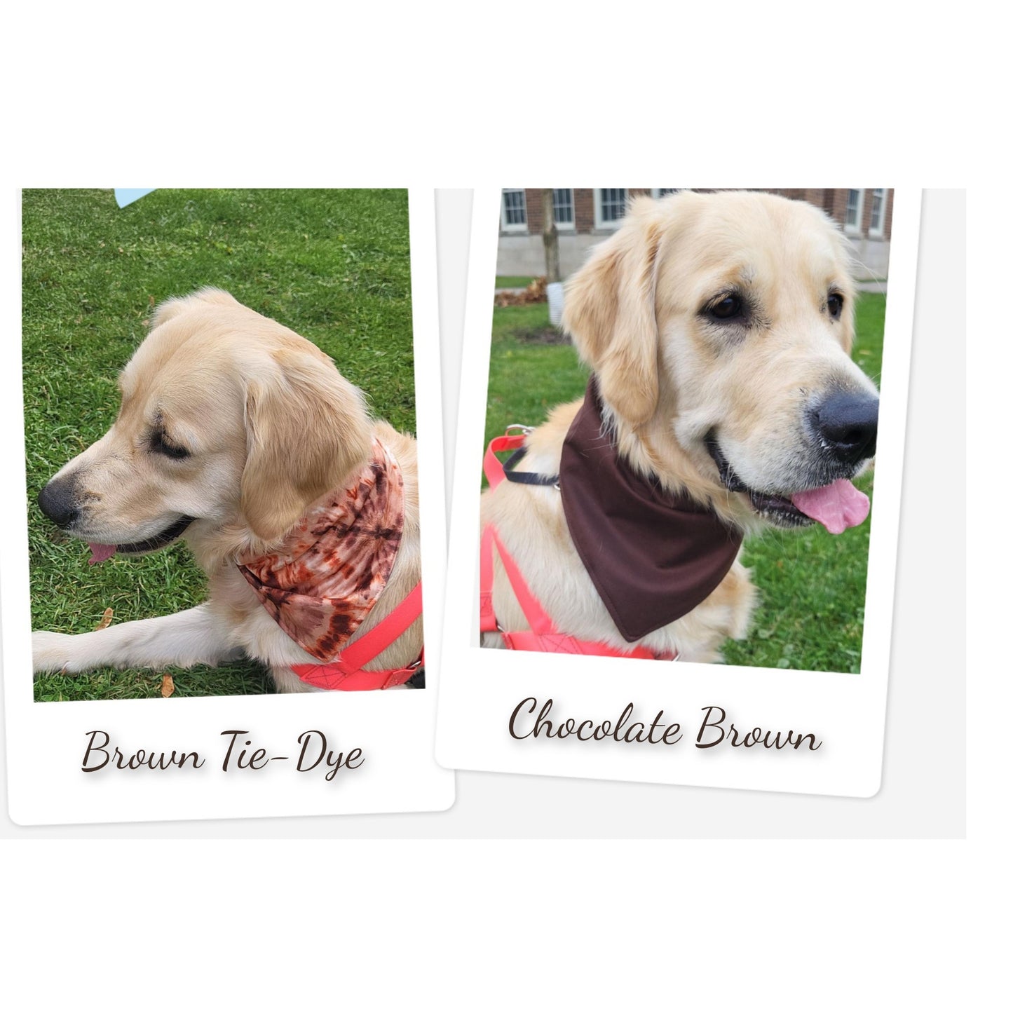Dog Bandanas - Brown & Brown Tie Dye Reversible