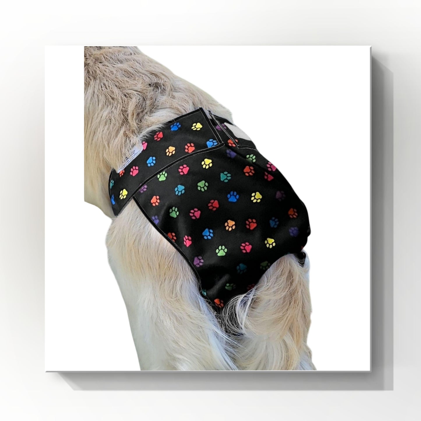 Female Dog Diaper Britches |With Tail Opening| Multi Paw Print