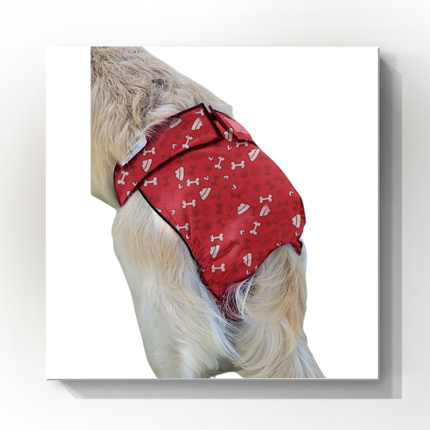 Female Dog Diaper | Britches | With Tail Opening | Red Bones Print