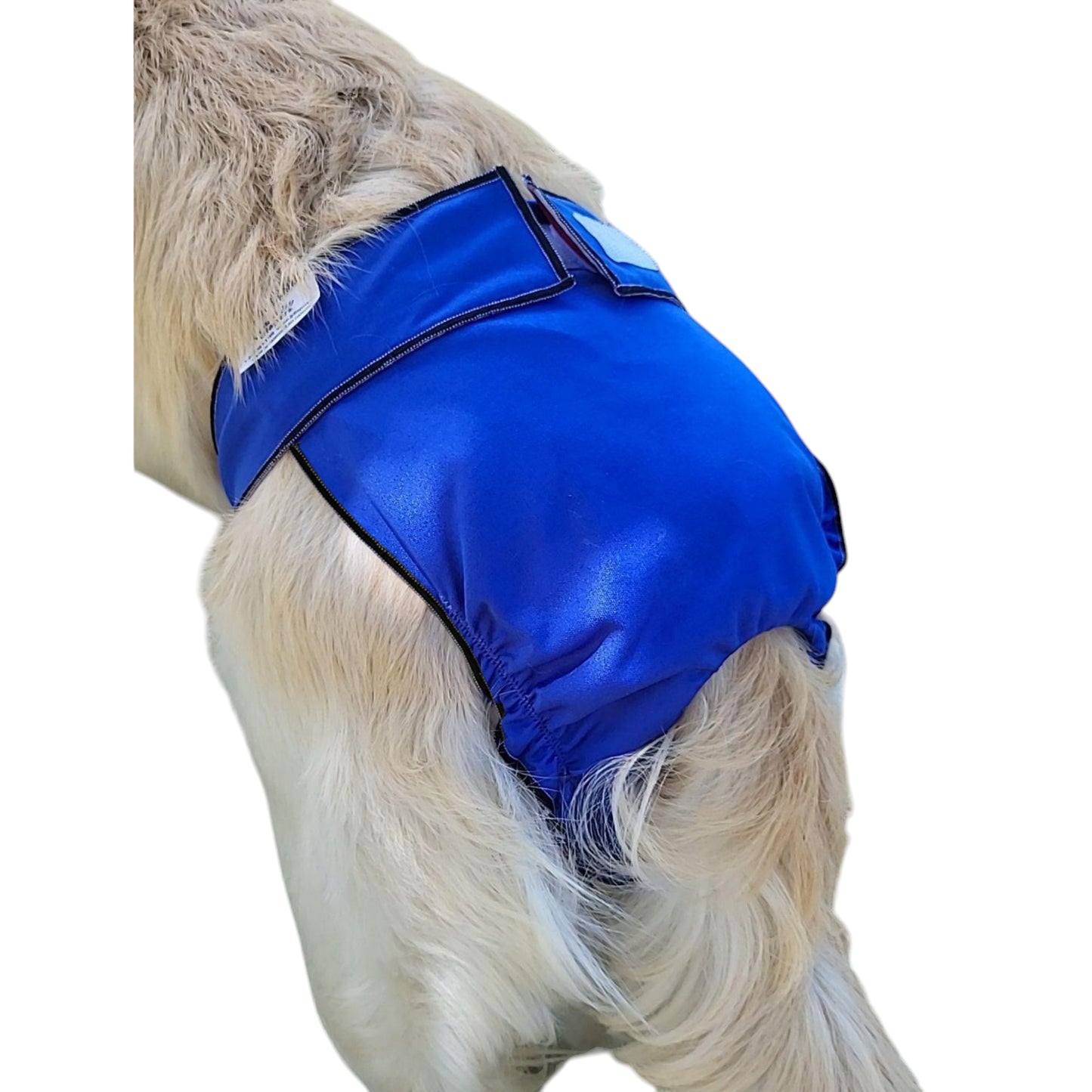 Female Dog Diaper Britches | With Tail Opening | Royal Blue Print