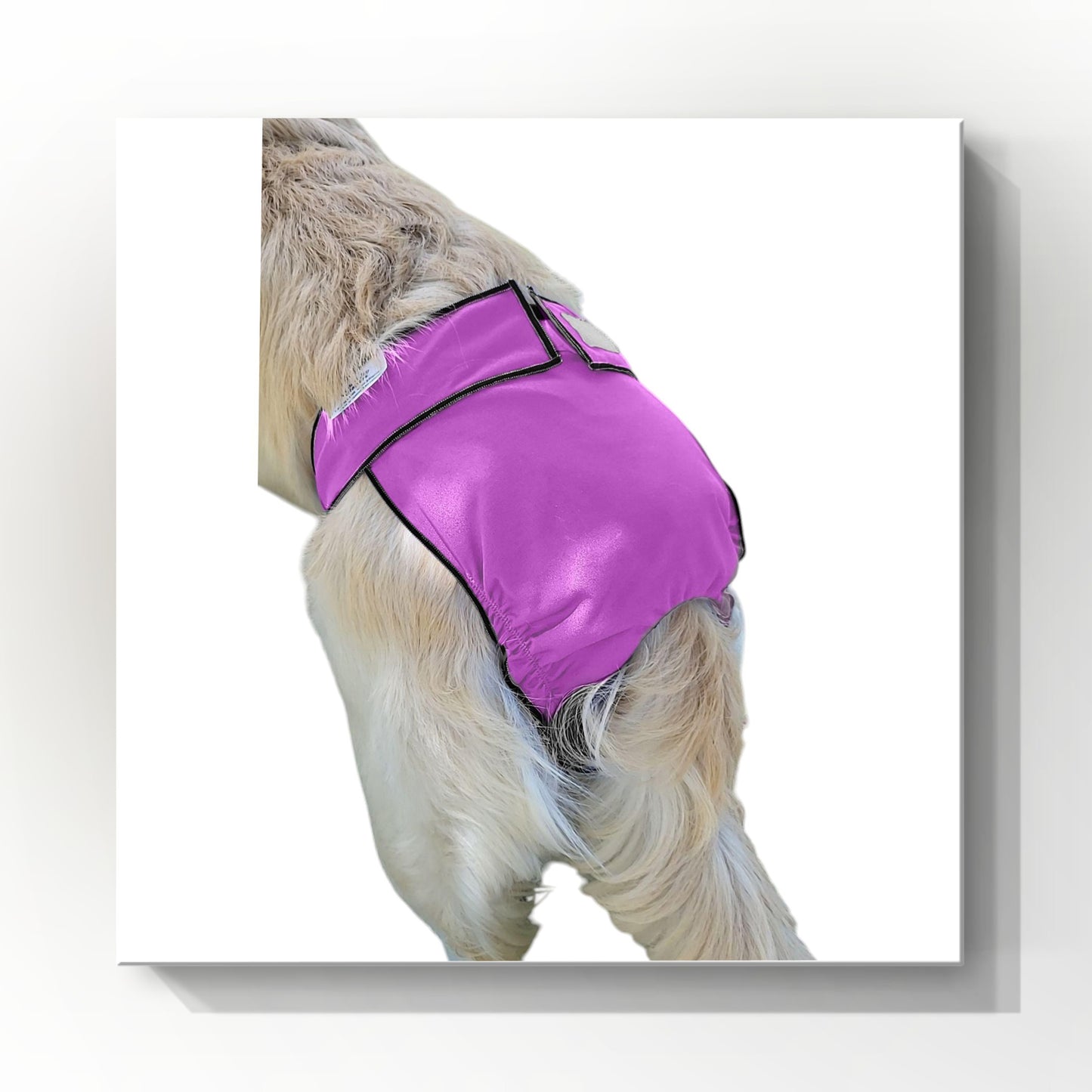 Female Dog Diaper Britches | With Tail Opening | Violet Print