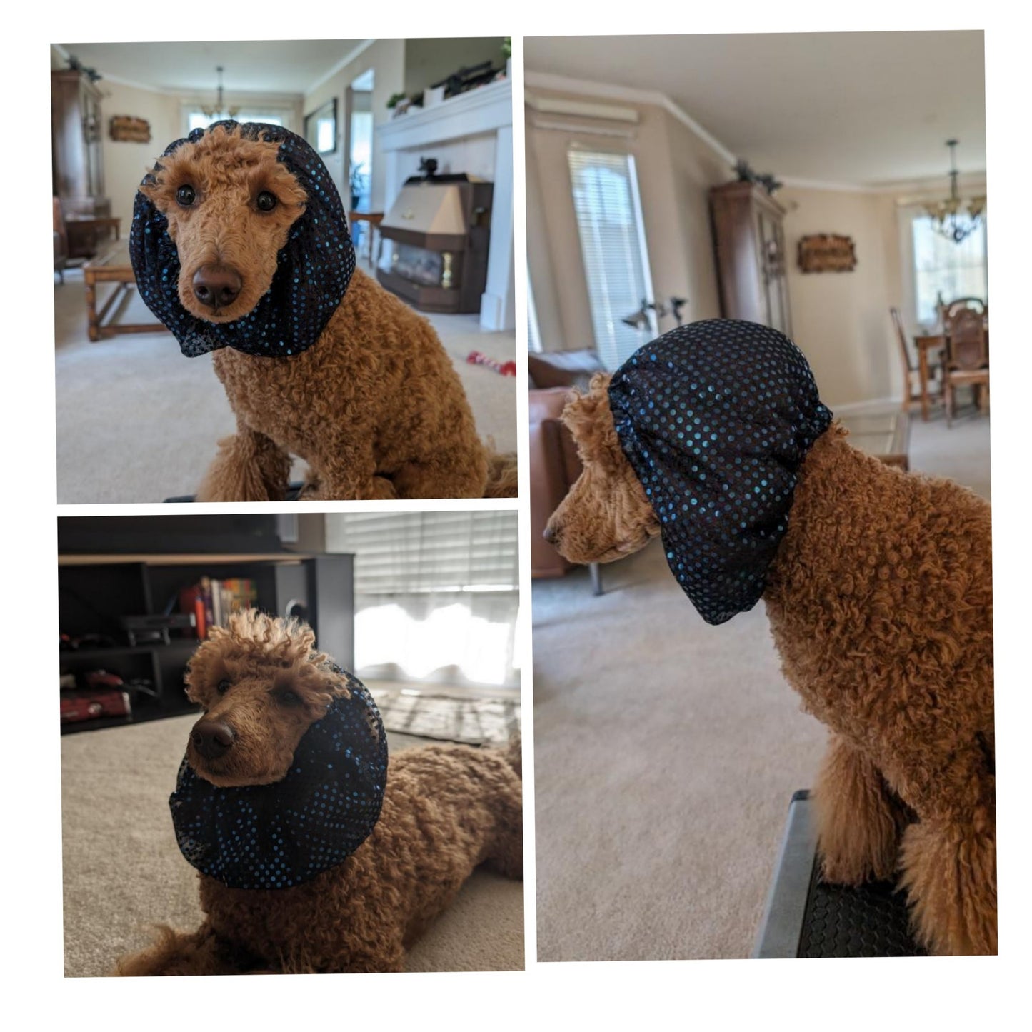 Dog Snood - Sequins Navy