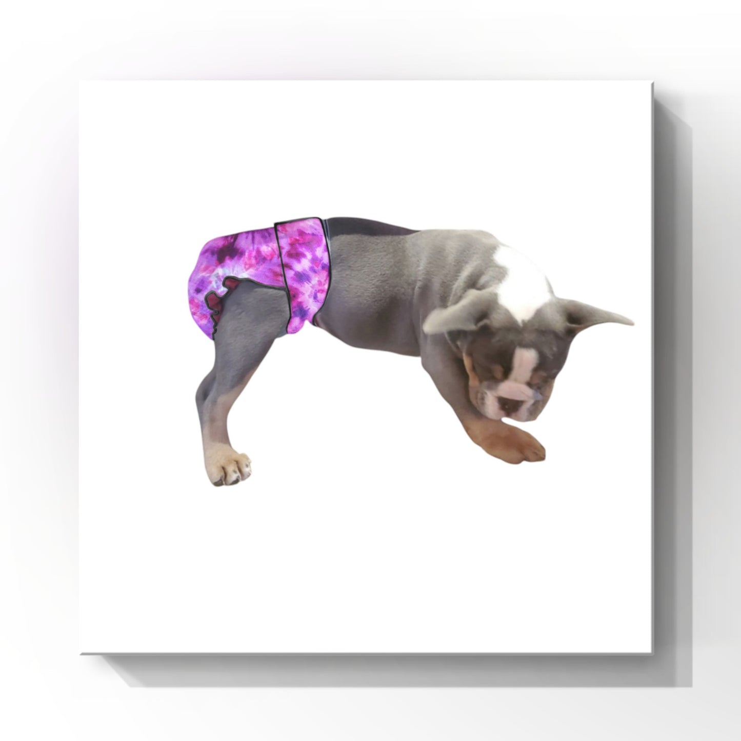 Female Dog Diapers (Britches) | No Tail Opening | Purple Tie Dye Print