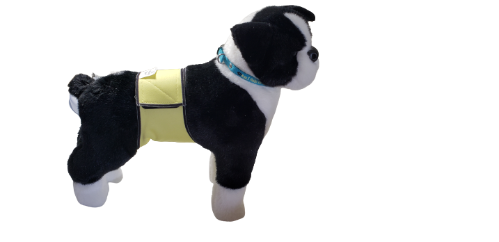 Male Dog Belly Band Wrap - Lemon Style #2