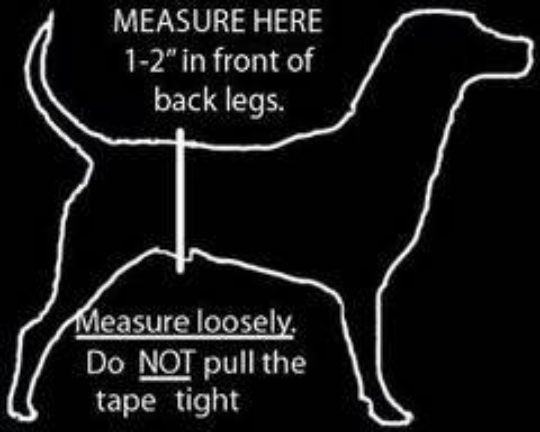 Male Dog Belly Band Wrap | Red Bones Print |Style 2