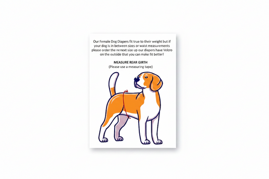 Dog Diapers 101: When to Use Them and How to Choose the Right Fit