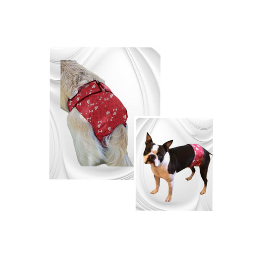 Do male or female dogs wear diapers?