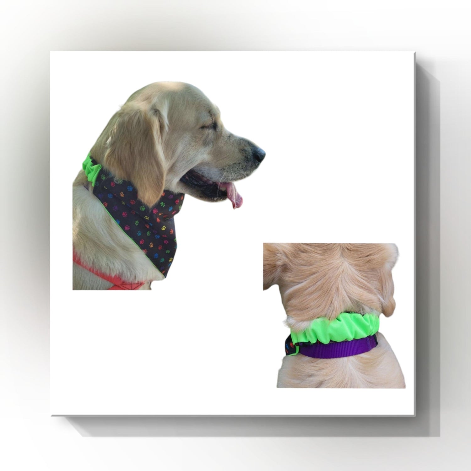 Dog Bandana -Scrunchie Style