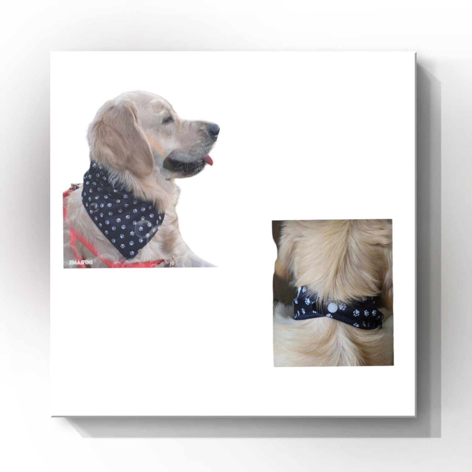 Dog Bandana Snap-On Style | Chic & Practical for All Seasons