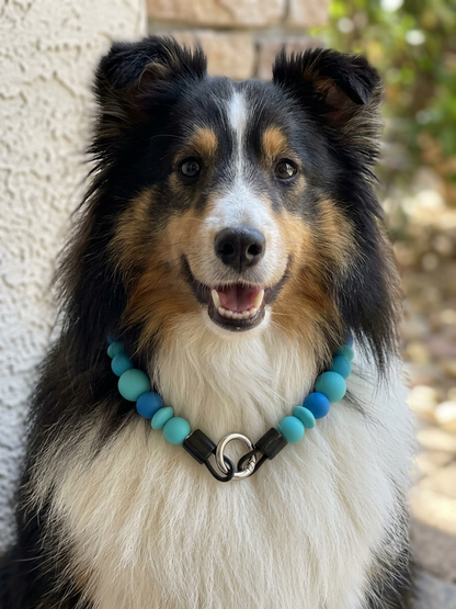 Silicone Beaded Dog Collar - Handmade in Canada