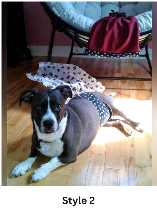 Washable Male Dog Belly Band – Contoured Fit