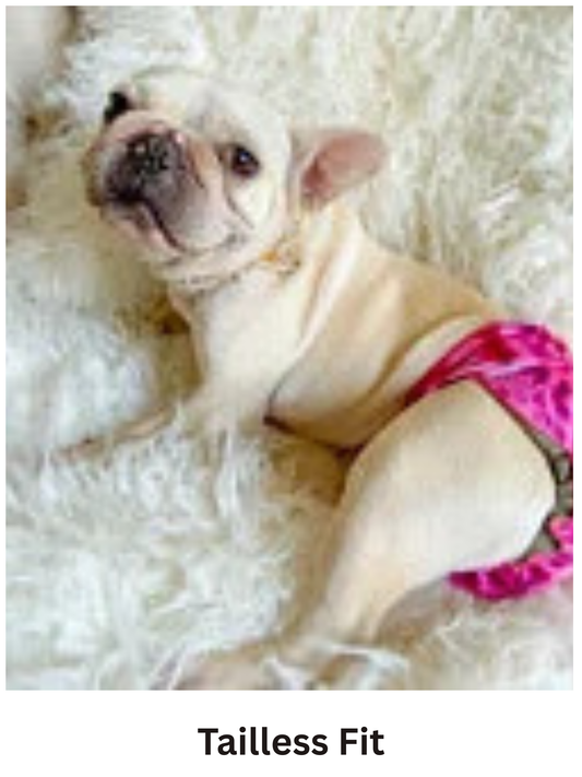 Best For Dogs With No Tail Or Docked Tail