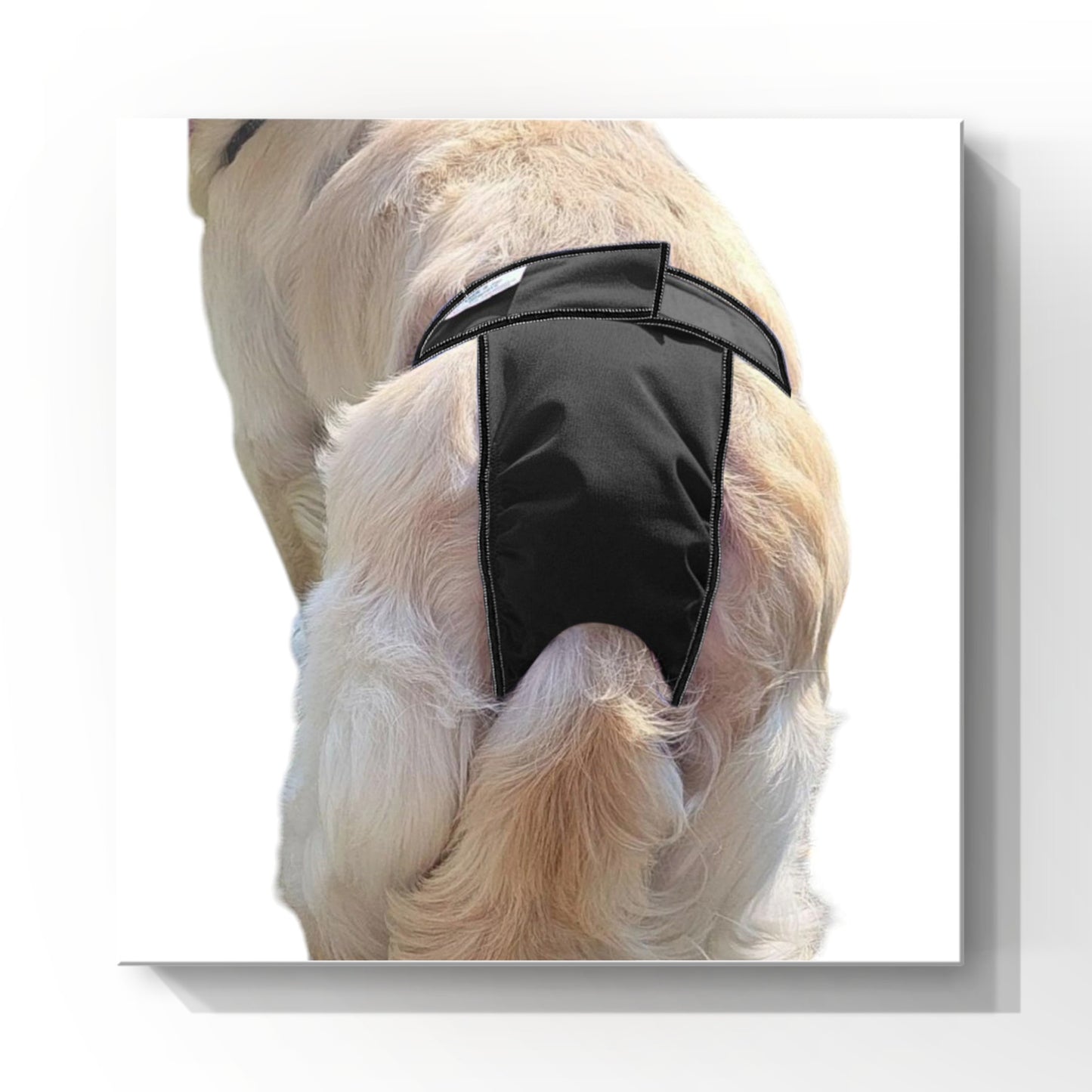 Female Dog Diapers (Britches)- Washable High-Cut