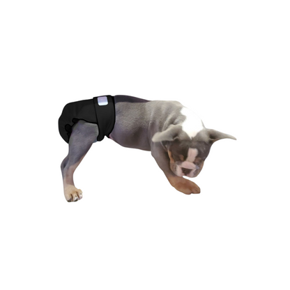 Black washable female dog diaper no tail opening