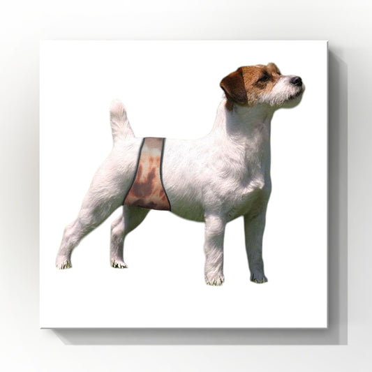 Male Dog Belly Band Wrap |Brown Tie Dye Print | Style 2