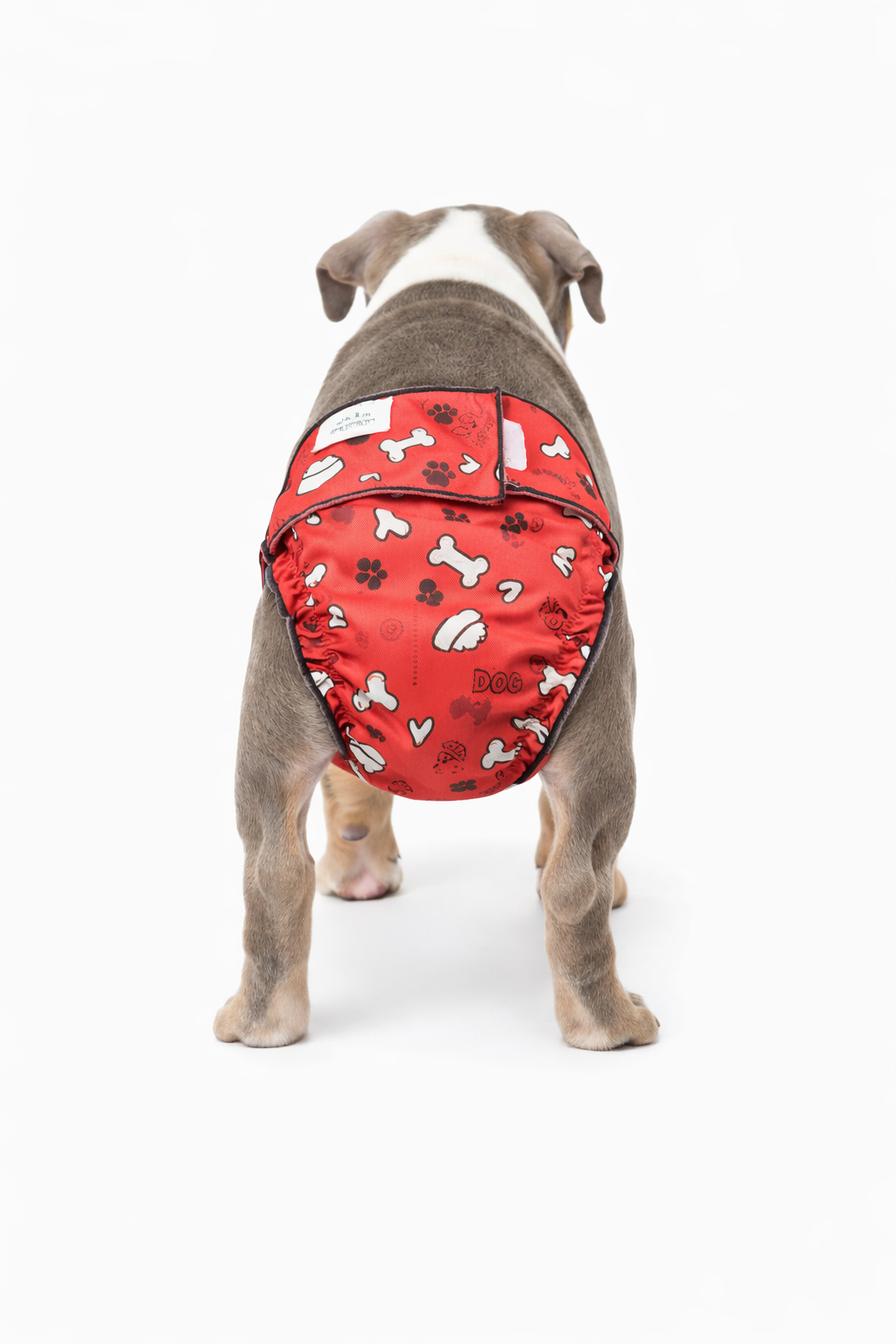 Jack and Jill female dog diaper without a tail hole.