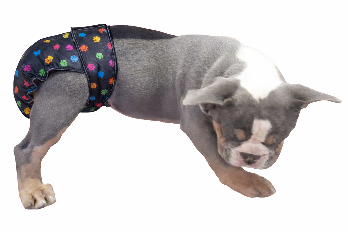 Multi paws print washable female dog diaper no tail opening