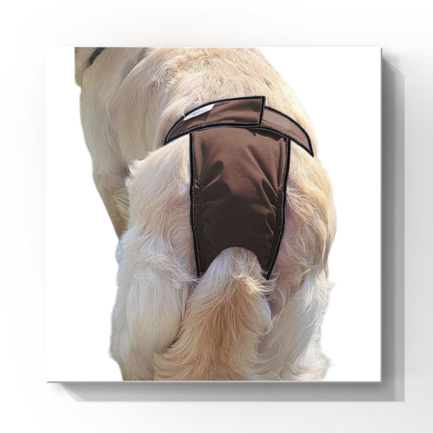 Female Dog Diapers (Britches)- Washable High-Cut