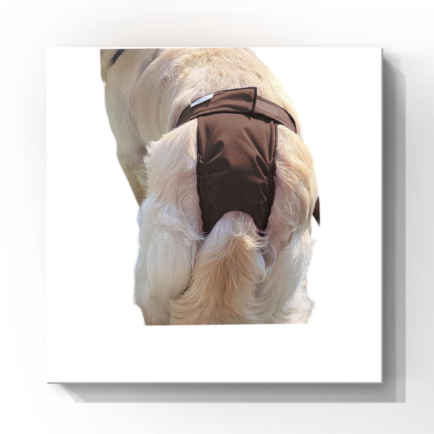 Female Dog Diapers (Britches) - Washable