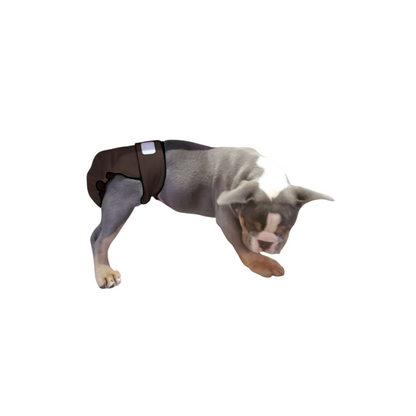 Chocolate brown washable female dog diaper no tail opening
