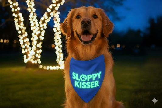 Glow in the Dark Snap-On Dog Bandana - SLOPPY KISSER
