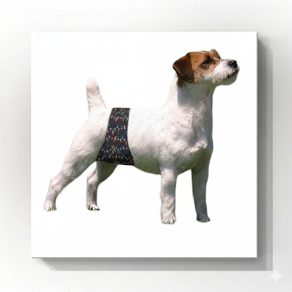 Male Dog Belly Bands - Washable