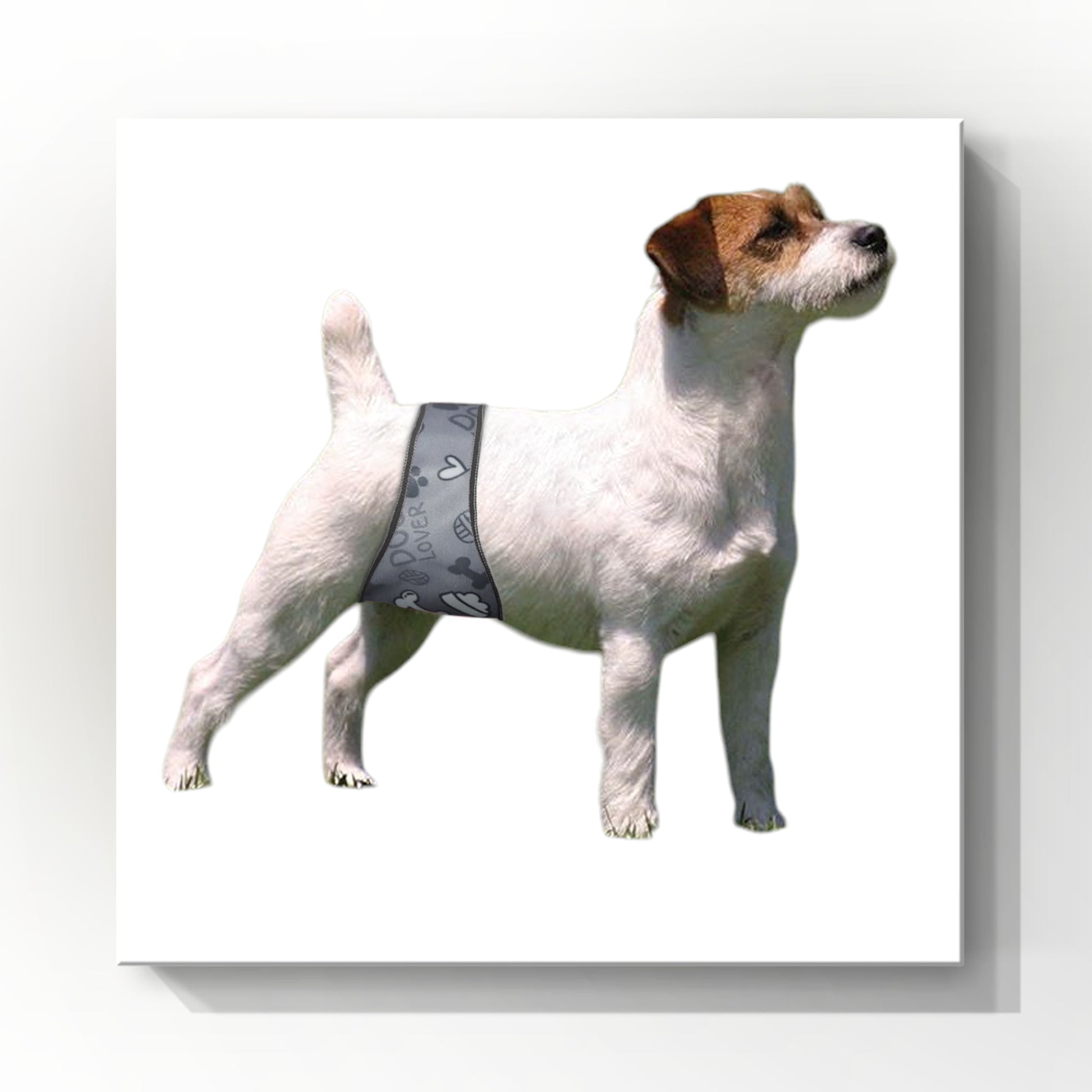 Washable male dog belly bands waterproof and reusable