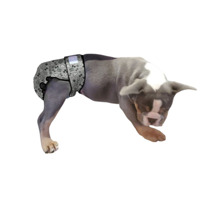 Grey bone print washable female dog diaper no tail opening
