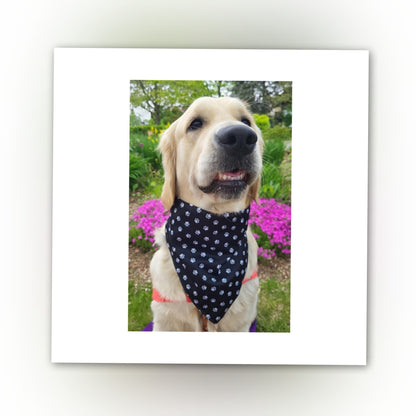 Dog Bandana Scrunchie | Paw Print