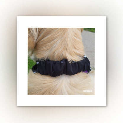 Dog Bandana Scrunchie | Paw Print