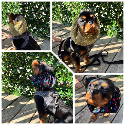 Dog Purple Snood | Dog Stylish Purple Snood | Jack & Jill Dog Diapers