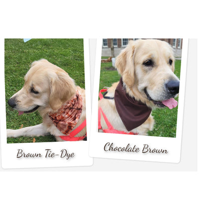 Dog Bandanas - Brown  & Brown Tie Dye Reversible