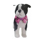 Dog Collar Bow Tie | Dog Waterproof Bow Ties | Jack & Jill Dog Diapers