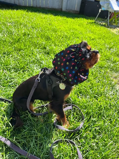 Dog Snood Waterproof - Bone Print