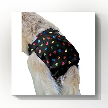 Female Dog Diaper Britches |With Tail Opening| Multi  Paw Print