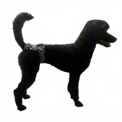  Black standard poodle side view wearing a high-cut washable female dog diaper, showing the elevated hip coverage designed for active dogs and agility