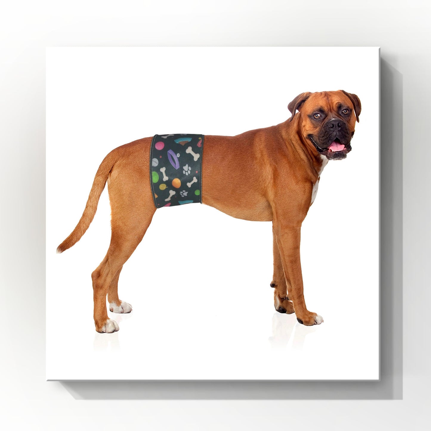 Male Dog Belly Bands - Style 1 - Washable