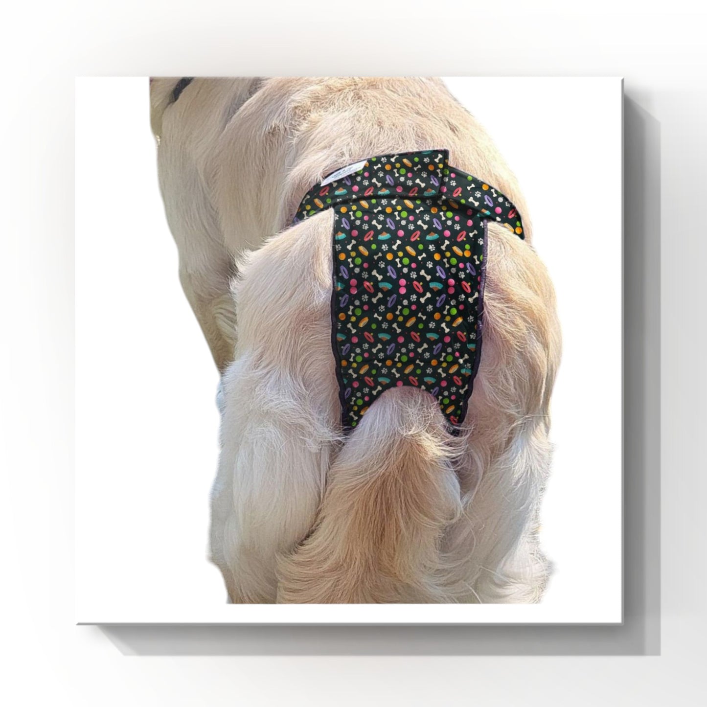 Female Dog Diapers (Britches) - Washable