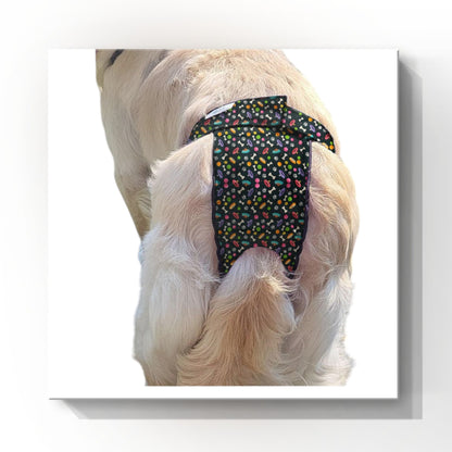 Female Dog Diapers (Britches) - Washable